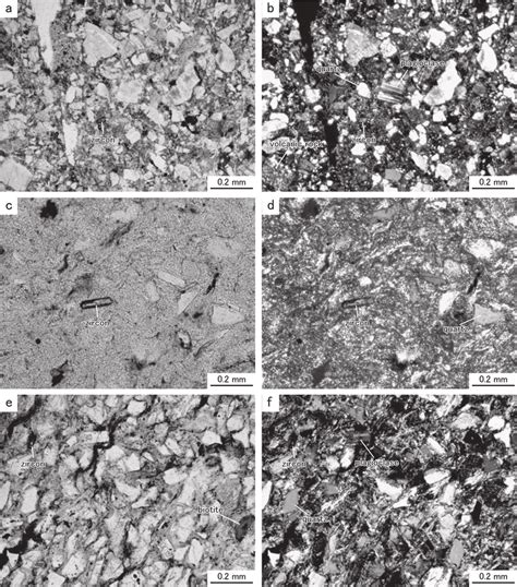 Fig. . Photomicrograph of the tuffaceous sandstone in the Nyunokawa ...