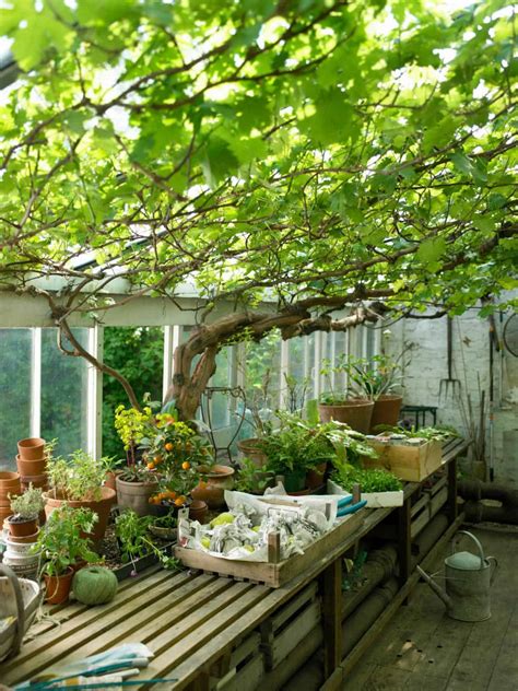 20+ Awesome Backyard Greenhouse Ideas For Gardening Enthusiasts