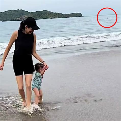 Video accidentally captures deadly 'shark attack' on Mexico vacation