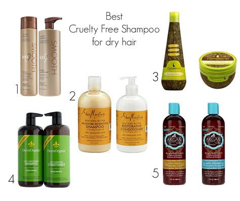 BEST CRUELTY FREE SHAMPOO FOR DRY HAIR | Shampoo free, Good shampoo and ...