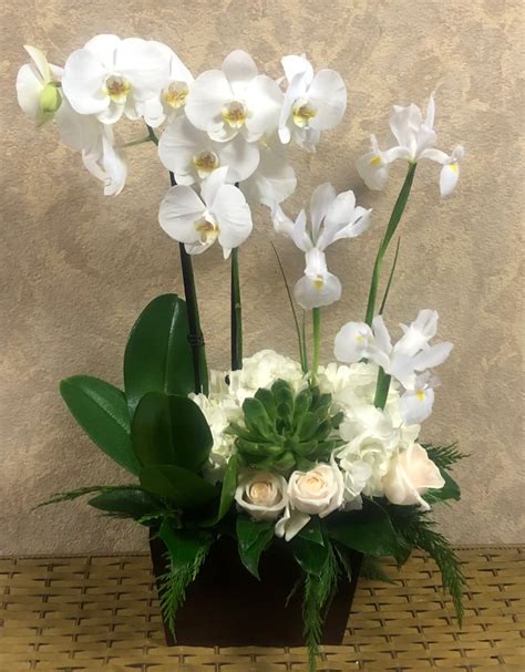 White Orchids with Fresh Flowers for Sympathy in Santa Clarita, CA | Flower Finesse