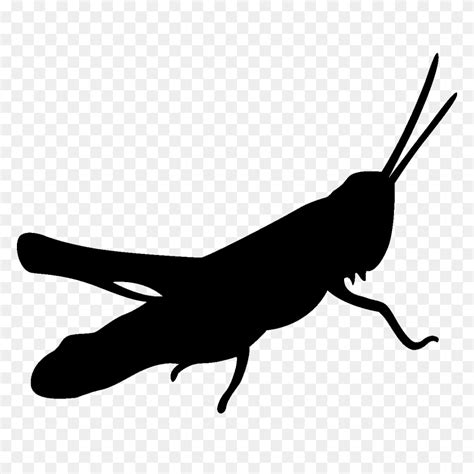 Cricket Insect Clipart Free - Cricket Bug Clipart - FlyClipart