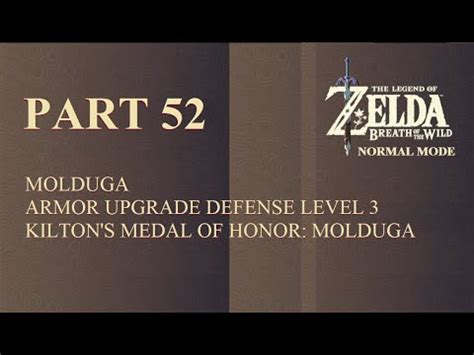 The Legend Of Zelda: BOTW: Armor upgrade defense level 3, Kilton's ...