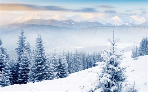 winter scenes - Desktop Wallpaper