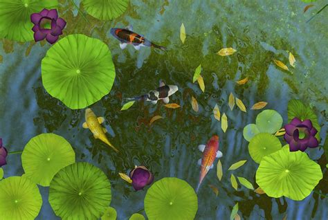 Realistic colorful Koi fish with animation for TS4 ponds | Sims 4 Studio