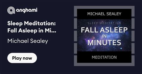 Michael Sealey Meditation - Meditation Bro