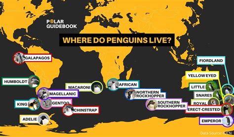 Penguin Habitat Distribution Vivid Maps - vrogue.co