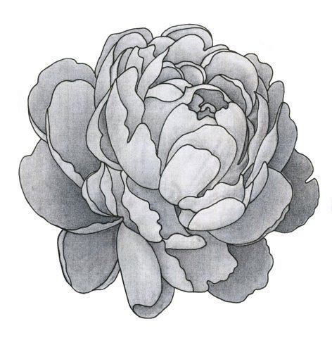 Pin by Mø Noï on Tattoos | Flower drawing, Shoulder cap tattoo, Flower tattoos