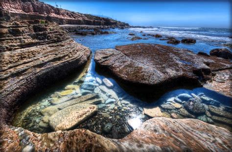 point loma tide pools - Obrázky Google | San diego vacation, San diego ...