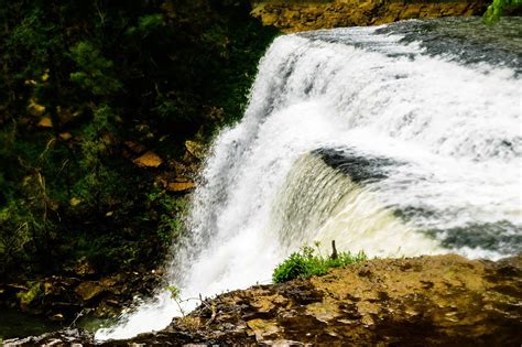 We're Going Camping!: Burgess Falls State Park