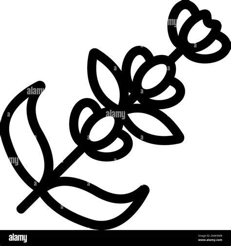 Lavender flower icon vector. Isolated contour symbol illustration Stock Vector Image & Art - Alamy