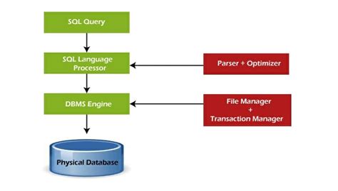 The Basic Elements of a Database and DBMS | FounderJar