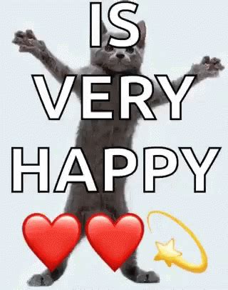 Cat Is Very Happy GIF - Cat IsVeryHappy - Discover & Share GIFs