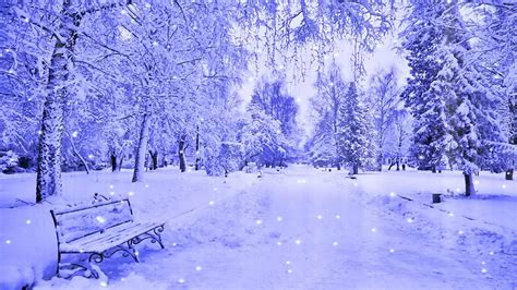 Winter Widescreen Desktop Wallpaper