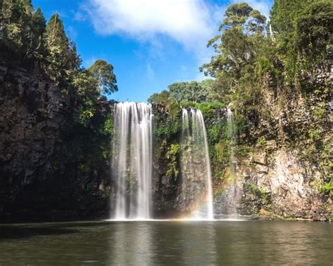 Are Dogs Allowed At Dangar Falls