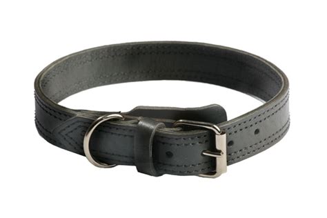 Black leather dog collar - K9 PROFI / PRIDE