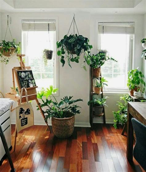 27 Interior Design Plants Inside House Pictures | Plant decor, Interior design plants, Interior ...