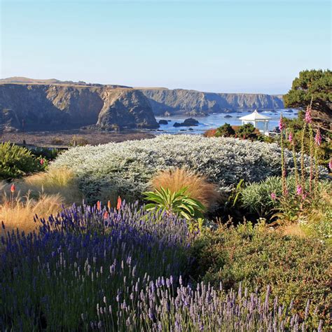 Explore Mendocino - Blue Door Inns - Hotels Near Mendocino Coast