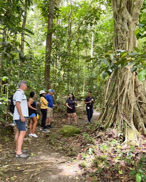 Rainforest Adventures Aerial Tram St Lucia Photo Heatheronhertravels ...