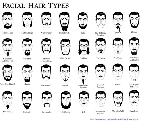 beard types and names your guide styles popular beards try | Haircut names for men, Names of ...