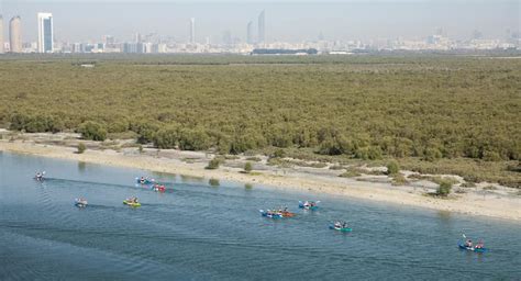 Abu Dhabi Activities | Eastern Mangroves Hotel & Spa