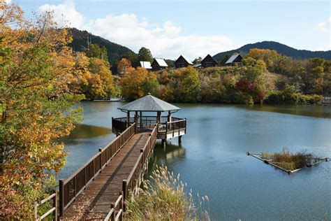 Taisho Pond Green Park: Fall Foliage 7 | Photos | Another Kyoto Media ...