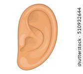 Human Ear Free Stock Photo - Public Domain Pictures