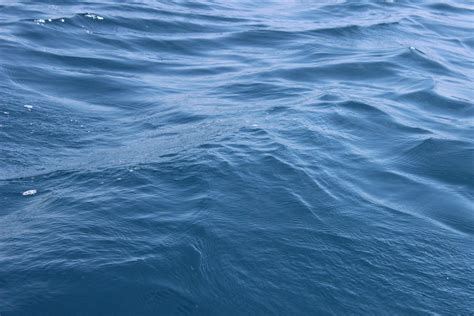 Waves on Water Surface · Free Stock Photo