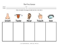 5 Senses Chart