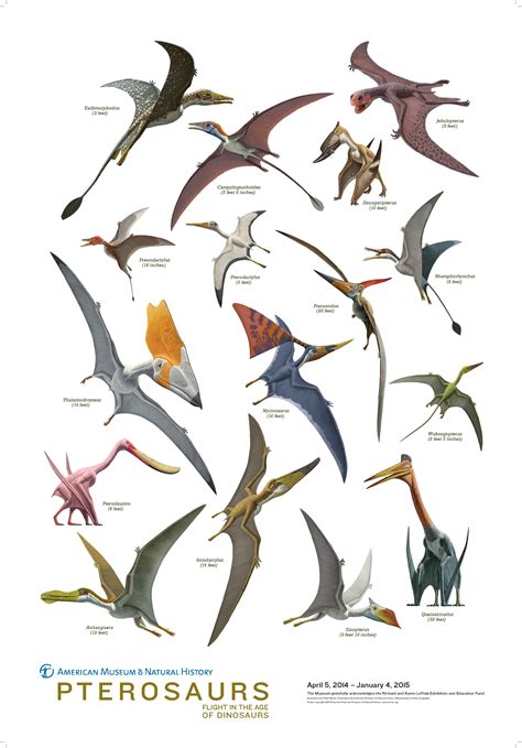 Pterosaurs | Dinosaur illustration, Prehistoric animals, Ancient animals