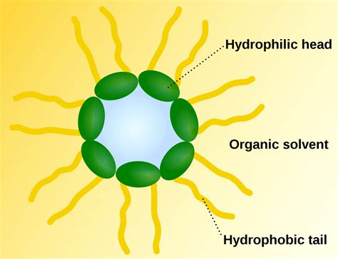 Micelle - Reverse Micelles | Supercells | Applications of Micelle