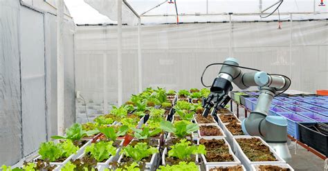 Agricultural Robots: The Future of Job Creation | A3