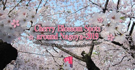 Cherry Blossom Spots around Nagoya—2019 | Central Japan International Airport