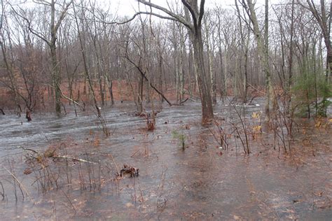 Understanding River Flooding: New Details Emerge | NOAA Fisheries