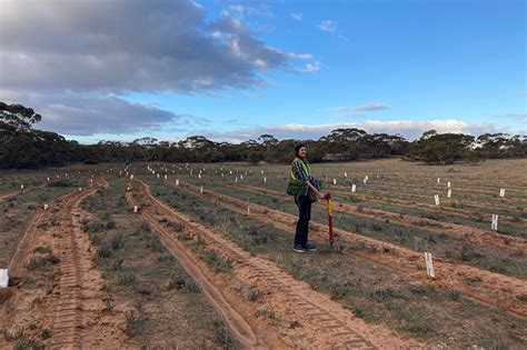 Re-connecting fragmented Malleefowl habitat - Greening Australia - Greening Australia