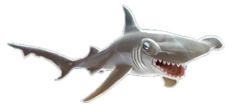 Image - Hammerhead Shark.png | Hungry Shark Wiki | FANDOM powered by Wikia