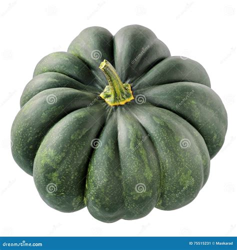 Green Pumpkin Varieties, Isolated on White Background. Stock Image ...