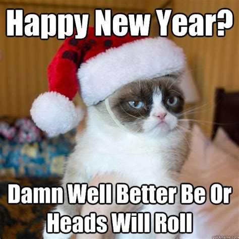 Funny New Year Animal Memes | Grumpy cat humor, Grumpy cat christmas, Grumpy cat