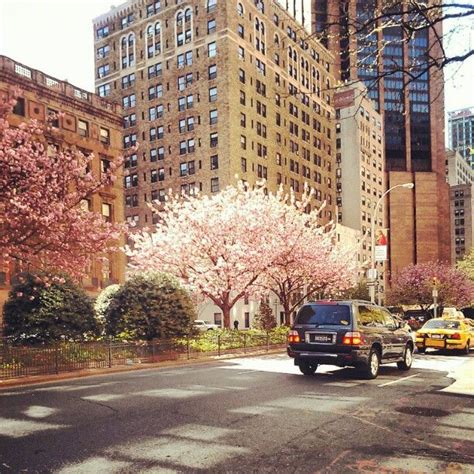 Murray Hill, Manhattan, New York City | Viewing NYC