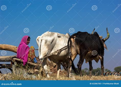 Ancient Agriculture editorial image. Image of agriculture - 63286700