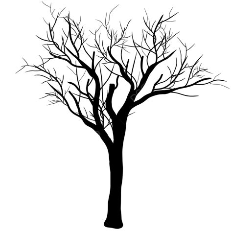 Black Leafless Tree Silhouette, Leafless, Dead Tree, Silhouette PNG ...