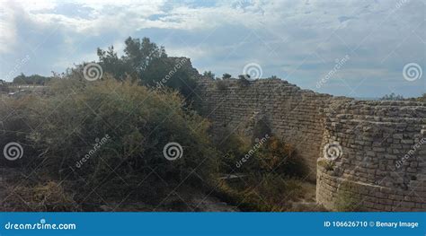 Ashdod beach stock photo. Image of landscape, plants - 106626710