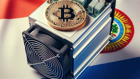 Paraguay’s Power Chief: No Cryptocurrency Mining Company Has Left Yet ...