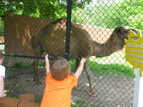 The Jersey Momma: A Review of the Lehigh Valley Zoo - Let's Go!