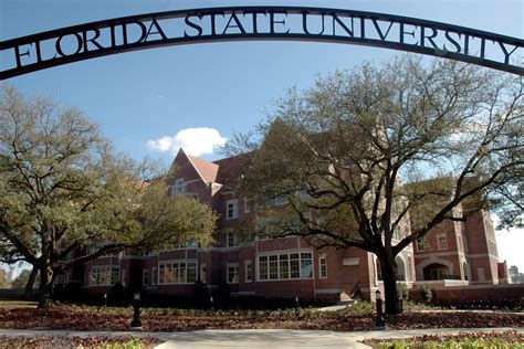 🔥 [50+] University of Florida Wallpapers | WallpaperSafari