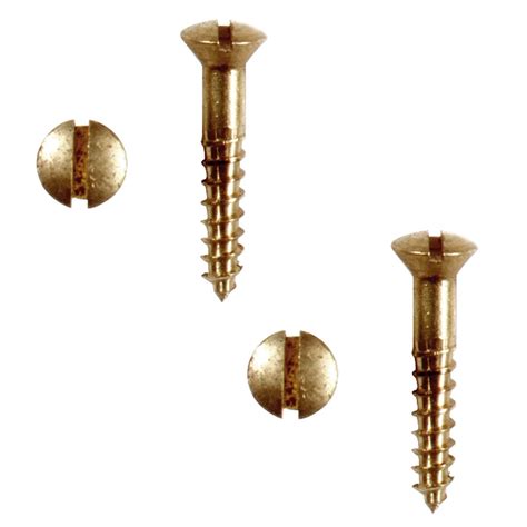 Brass Oval Head Wood Screws # 6 3/4" Qty Pack of 50