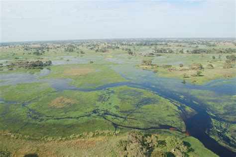 File:Okavango Delta, Botswana (2674364913).jpg - Wikimedia Commons