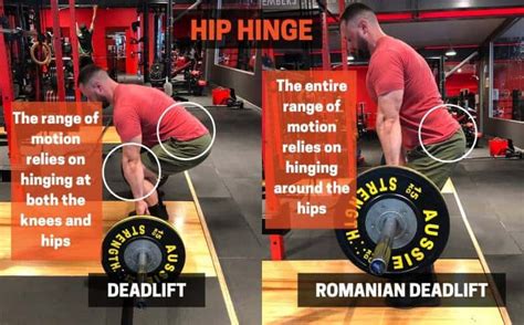 Romanian Deadlift vs Deadlift | What, Why, How?