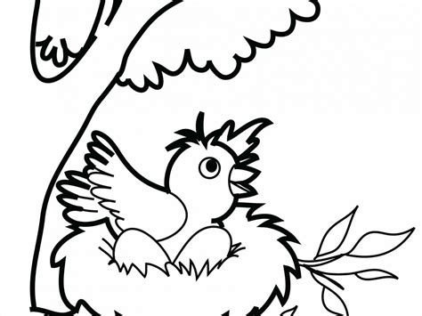 Bird Nest Drawing | Free download on ClipArtMag