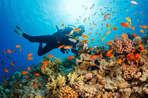 10 Best Places to Learn to Dive in Thailand - Great Thailand Scuba Diving Destinations - Go Guides